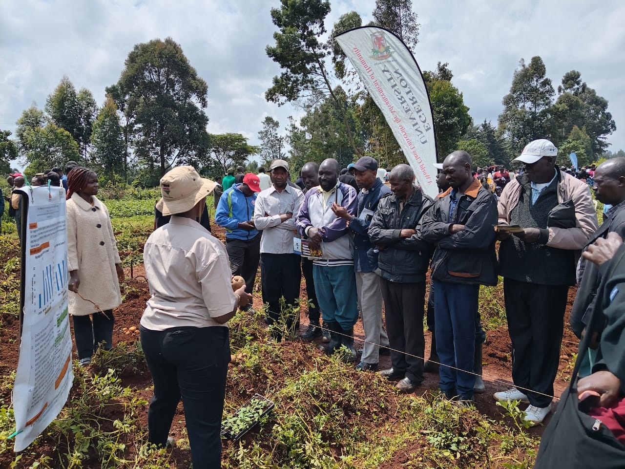 Empowering farmers: Egerton University Marks Kenya Potato Sustainable Initiative Field Day in Nandi County