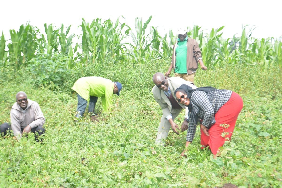 Egerton University Steps Up in Environmental Conservation with Tree Planting and Mau Campaign