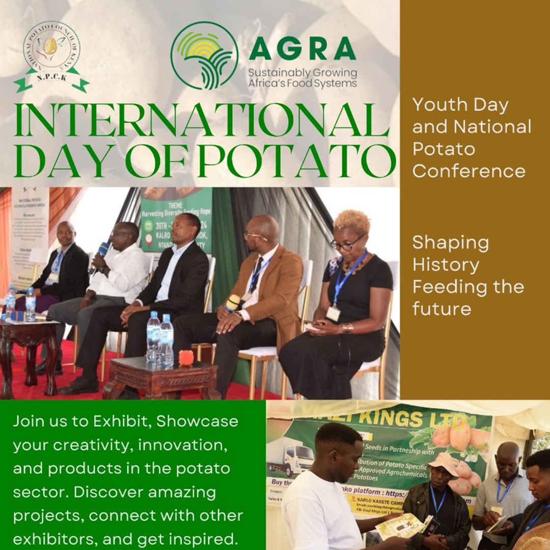 International Day Of Potato