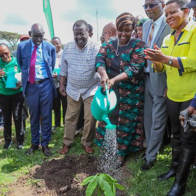 Area Mp Kathambi Plant Tree At Egerton