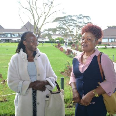 Dises Conference 120